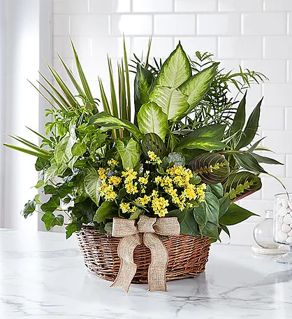 1-800-FLOWERS.COM E-Gift Card